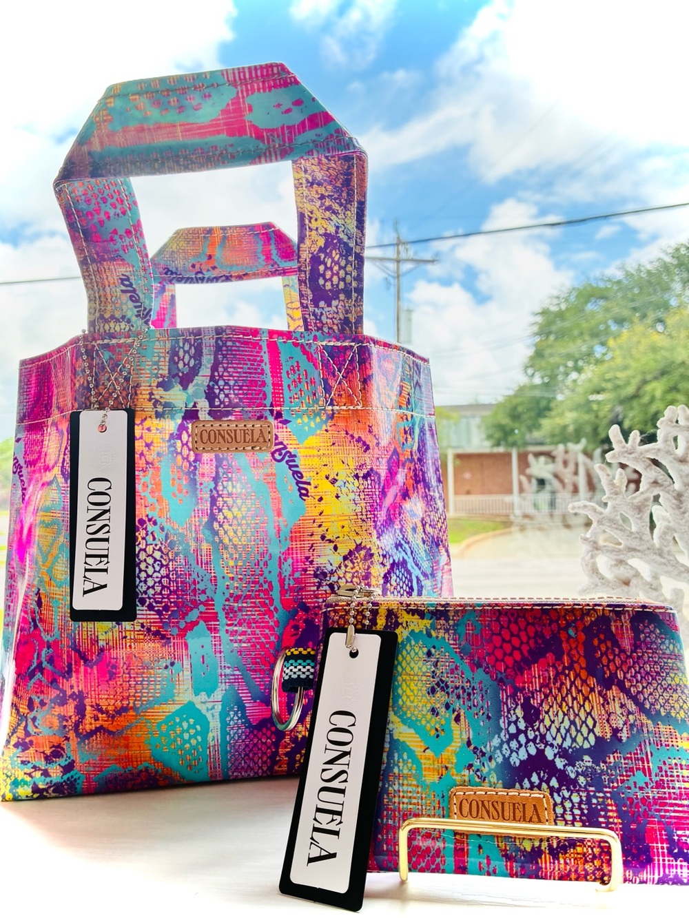 Consuela-Steph Vibrant Multicolor Snake-Print mini Tote and matching Wristlet